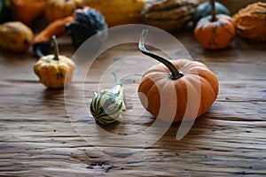 Composition with halloween pumpkins