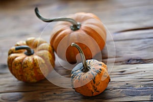 Composition with halloween pumpkins