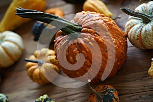 Composition with halloween pumpkins