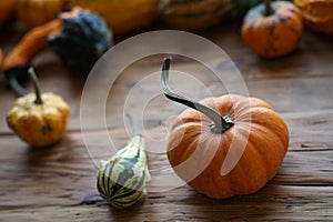 Composition with halloween pumpkins