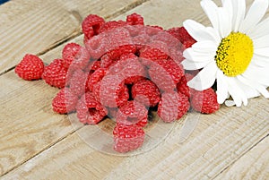 Composition of a handful of ripe raspberries and a large white chamomile