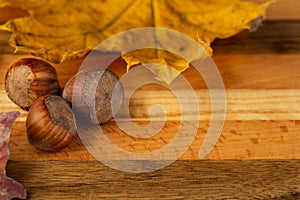 A composition of hazelnuts and golden maple leaves