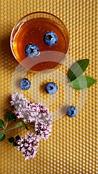 honey, oregano, blueberries on foundation