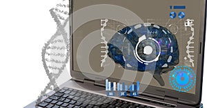 Composition of human brain and medical data processing over laptop computer
