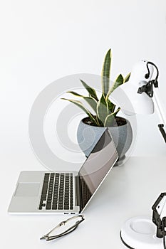 Composition with laptop on white tabletop with glasses, desklamp photo