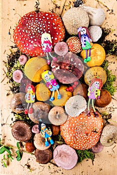 Composition with a large variety of mushrooms and dolls