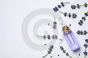 Composition with lavender flowers and natural essential oil on white background