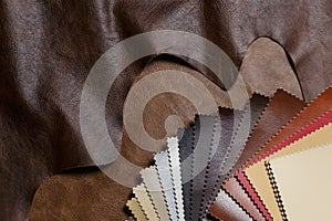 The composition of leather samples on a natural cow leather. Top view.