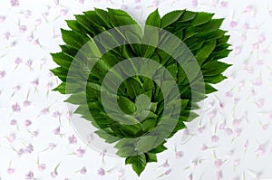 Composition of leaves and flower petals - green heart with pink petals. Concept of love to nature, protection of environment