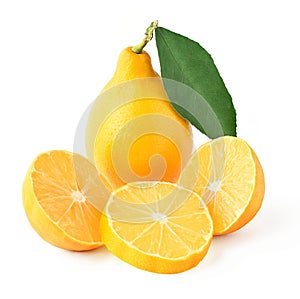 Composition of a lemon with a leaf, two halves and