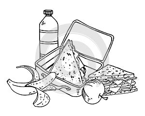 Composition with luncbox, sandwiches, fruits and bottle of water. Hand drawn vector outline illustration