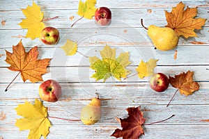 Composition made from pears, apples and colorful maple leaves on the blue wooden table. Autumn harvest concept