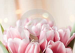 Composition made of pink flowers of tulips on bokeh background