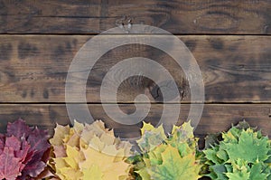 Composition of many yellowing fallen autumn leaves on a background surface of natural wooden boards of dark brown color