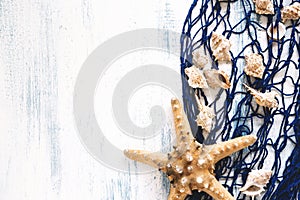 composition marine elements with copyspace. High quality photo