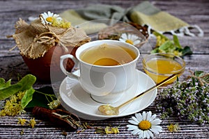 Composition of medicinal herbs. white cup with herbal tea, linden flowers, thyme, honey and chamomile flowers on a