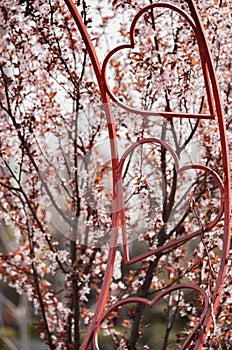 Composition of metal hearts and a beautiful tree