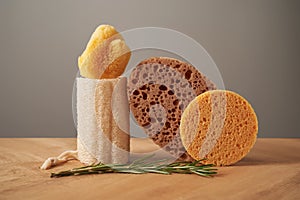 Composition of natural sponges and rosemary.