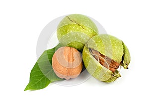 Composition of natural walnuts. Nuts on a white background.