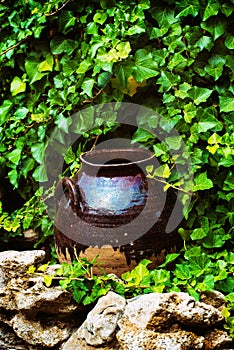 Composition from an old vase in a green corner of a resting place