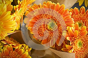 Composition of orange flowers