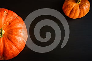 Composition of orange pumpkins on a black wooden background with copy space. Autumn harvest, Thanksgiving day - two pumpkins