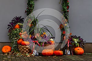 Composition of orange pumpkins and plants