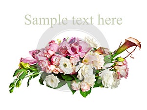 Composition of orchids