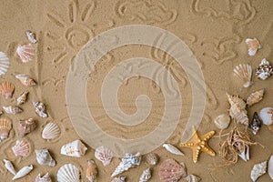 Composition with palm sun painted on sand seashells, pebbles, mockup on sand background. Blank, top view, still life