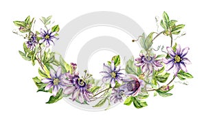 Composition of passion flower plant watercolor illustration isolated on white. Blue tropical plant, stem and foliage