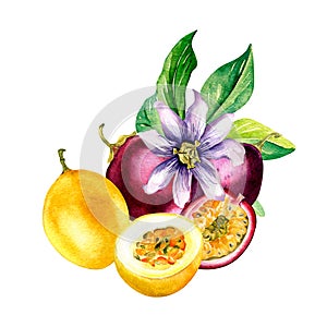 Composition of passion fruits and flower on leaf watercolor illustration isolated on white.