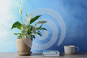 Composition with peace lily, notebook and cup on table