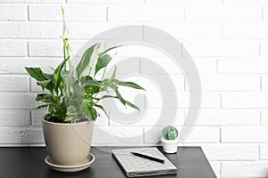 Composition with peace lily and notebook on table against brick wall.