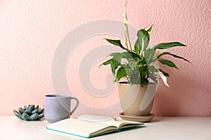 Composition with peace lily and notebook on table against color wall.