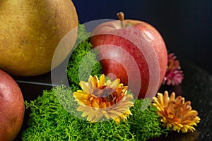 Composition of pears, apples, moss and yellow flowers.