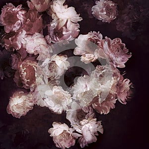 Composition of peonies