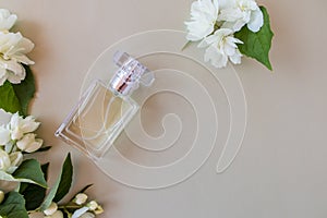 composition of a perfume bottle with a floral delicate aromat and white jasmine flowers on a gray background. top view