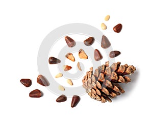 Composition with pine nuts and cone on white background