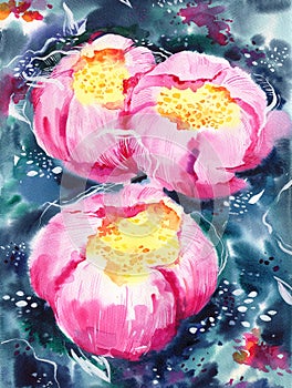 Composition with pink peonies. Hand drawn watercolor illustration