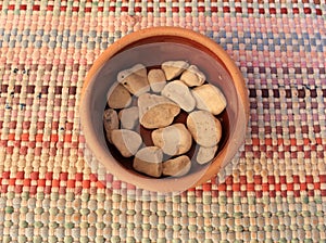 Composition of plants in a broken pot