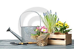 Composition with plants and gardening tools against white background