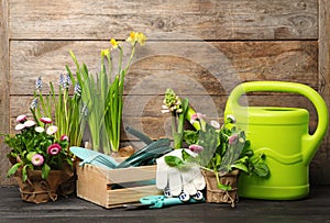 Composition with plants and gardening tools on table