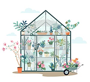 Composition with plants growing in pots or planters inside glass greenhouse. Vector flat illustration with cute orangery