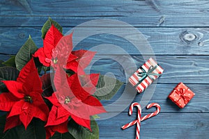 Composition of poinsettia Christmas flower and New Year`s gifts on a colored background