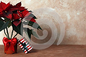 Composition of poinsettia Christmas flower and New Year`s gifts on a colored background