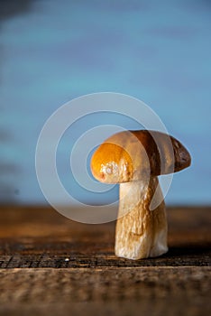 Composition of porcini on wooden background. White edible wild mushrooms. Copy space for your text