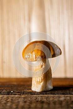 Composition of porcini on wooden background. White edible wild mushrooms. Copy space for your text