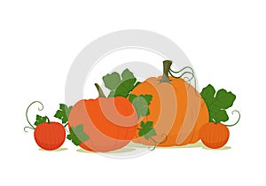 Composition with pumpkins and leaves on a white background. Thanksgiving or Halloween decoration. Banner, poster, card, leaflet,