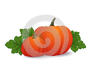 Composition with pumpkins and leaves on a white background. Thanksgiving or Halloween decoration. Banner, poster, card, leaflet,