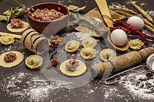 Composition with raw dumplings and ingredients on trendy black stone concrete background. Process of cooking